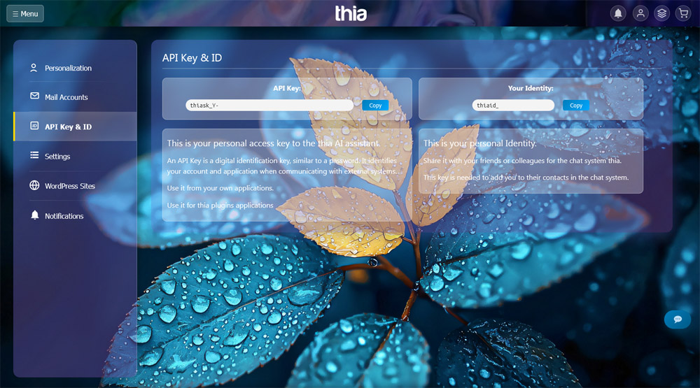 Thia Aide API Key