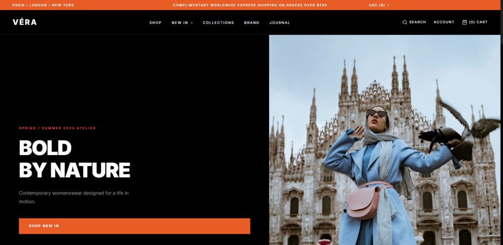 Fashion Store Website Design Template